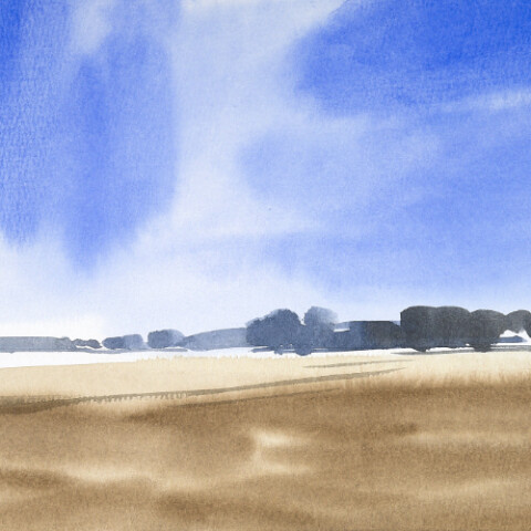Basislandschap WEBjpg