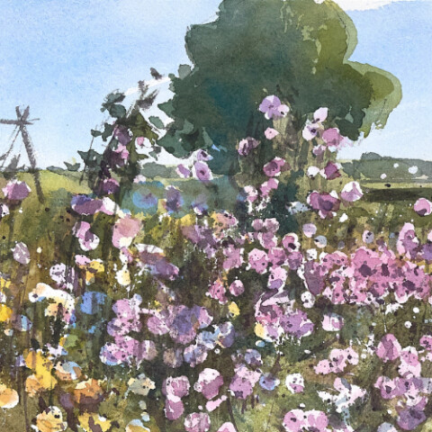 Bloemenveld WEB