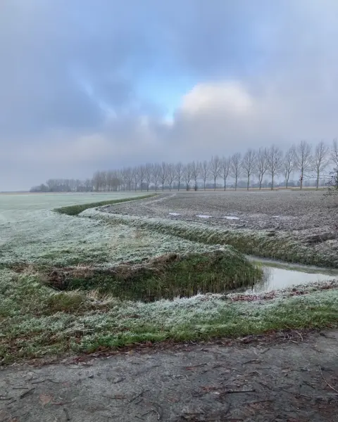 Feerwerd buiten