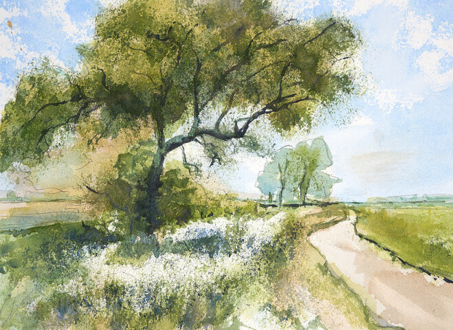 Hanneke van der Woude 1