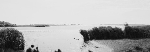 Mono 3